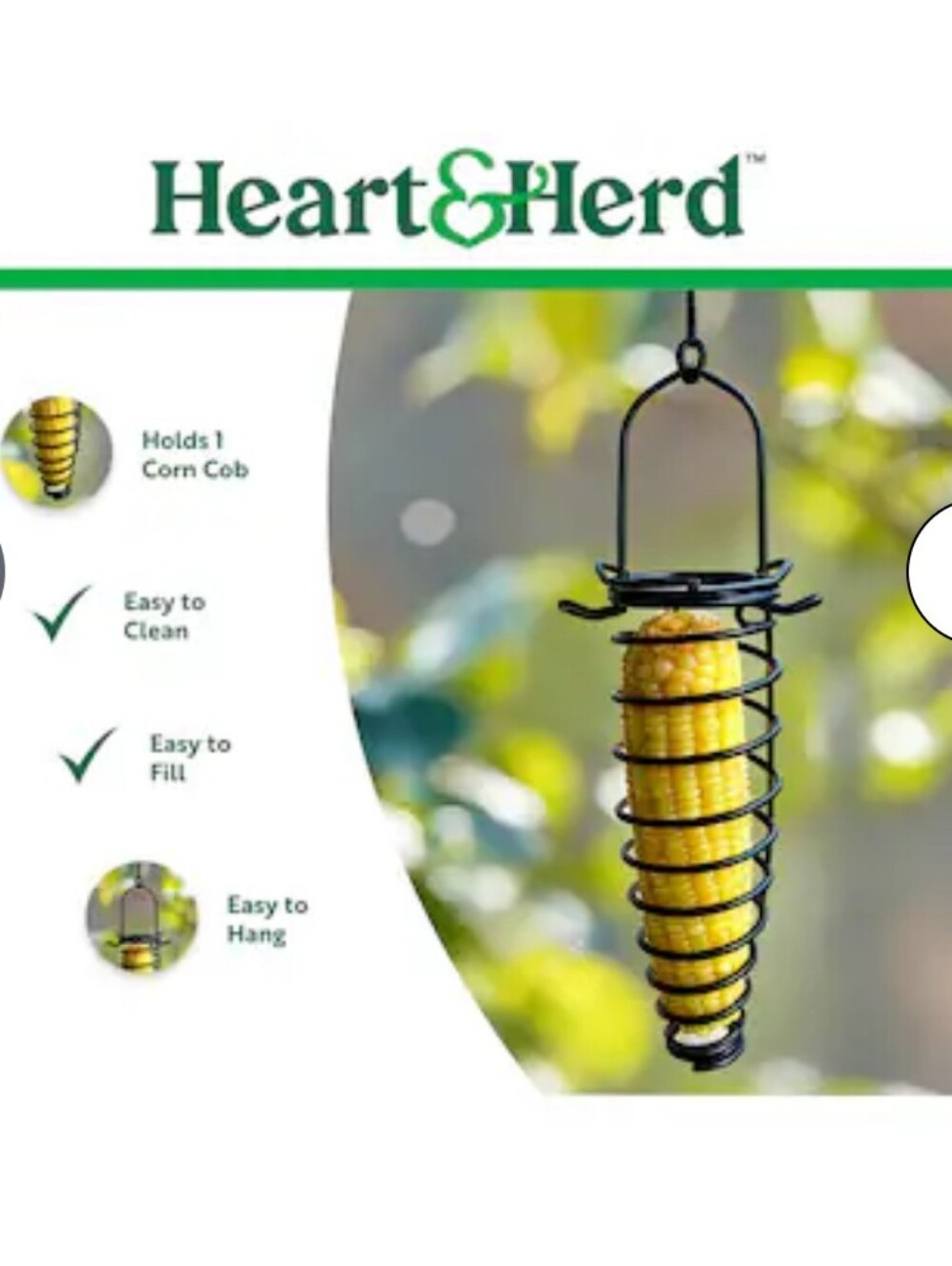 Squirrel Feeders